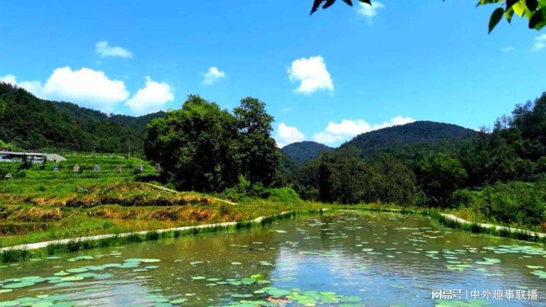 快手涨粉网址低价：低价助力账户快速增加关注者_大表哥新媒体24小时自助下单